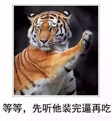 东北虎的资料:东北虎的资料简介介绍 野生老虎和圈养老虎数量是多少？为什么会这样？