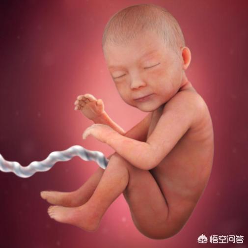 孕晚期是胎儿猛涨期吗？具体是哪几个周？插图37