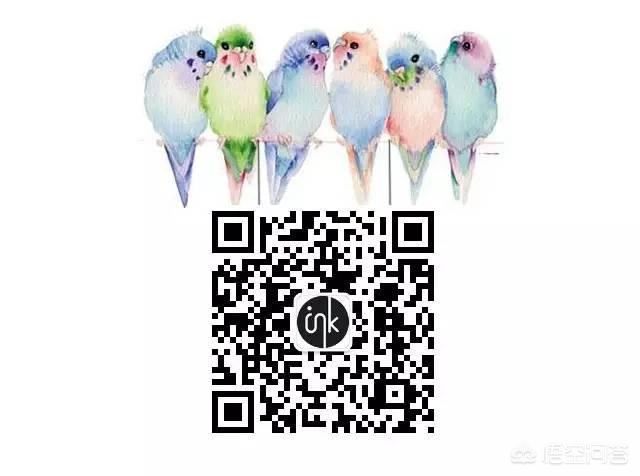 优质公众号推荐:你收藏的公众号中有哪些深度好文推荐？