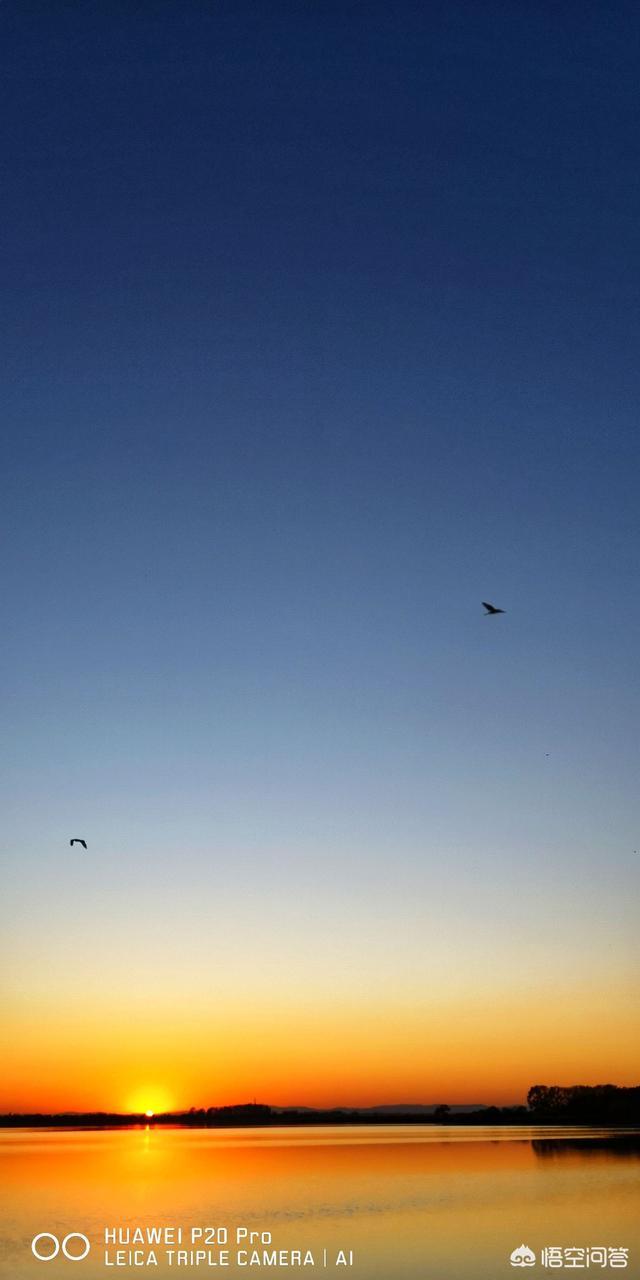 头条问答 摄影中何谓留白是什么意思 留白的作用与效果是什么 留白的表现形式又是怎样的 26个回答