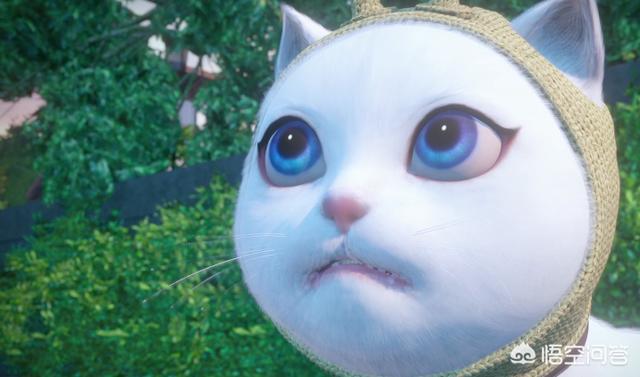 猫的诱惑漫画全集在线观看:《猫妖的诱惑》会成为B站史上最低国漫吗？