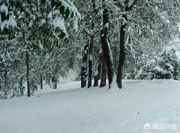 发朋友圈经典诗句:一场雪刷爆朋友圈，有哪些描述雪的古诗词？(赞美第一场雪的诗句)