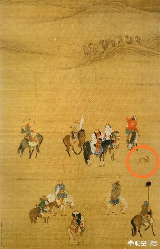 细犬:中国细犬到底是什么样的？滑条是细犬吗？