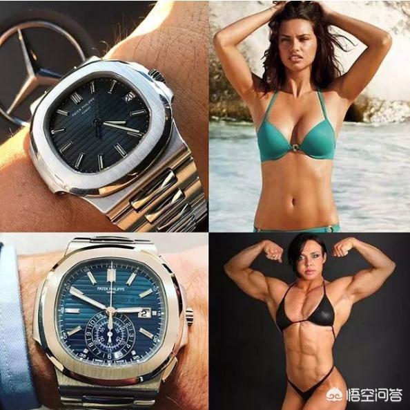 苏牧犬的寿命:机械表跟石英表，哪个寿命更长？