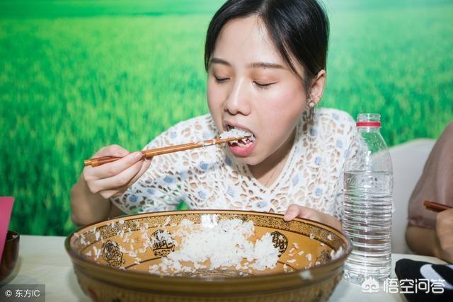 巨型贵宾犬的食量:除了狗粮之外，贵宾犬还能吃什么？
