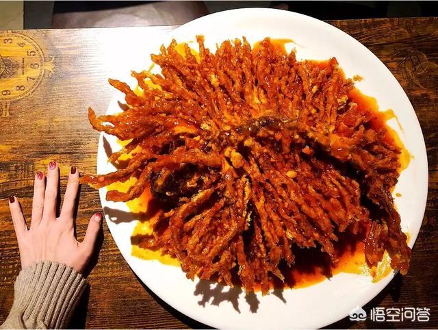 石家庄金毛58:石家庄哪里有好吃的金毛狮子鱼？