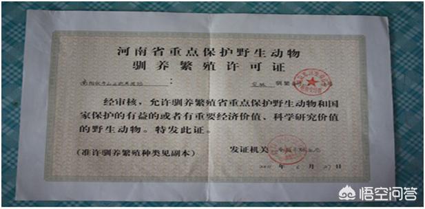 养殖稀有品种:我住在山区，想建一个野生山鸡养殖场，不知道是否可行？