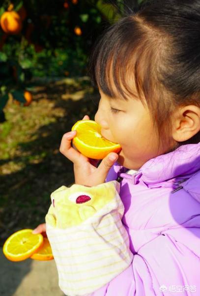 孕妇能喝果粒橙吗(怀孕期间可不可以吃橙子，孕期可以吃橙子吗会让胎儿的皮肤变黄吗