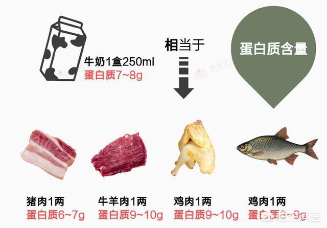 补蛋白质是吃蛋黄好些,还是吃蛋清好些？