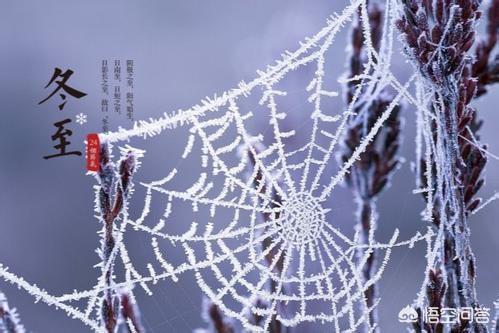 冬至吃饺子的<a href=https://maguai.com/list/72-0-0.html target=_blank class=infotextkey><a href=https://maguai.com/list/72-0-0.html target=_blank class=infotextkey>历史</a></a>渊源是什么(冬至吃饺子的由来的故事)