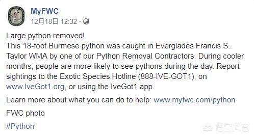 缅甸巨蟒:为了控制缅甸巨蟒这种外来入侵物种，佛罗里达州做了哪些工作？