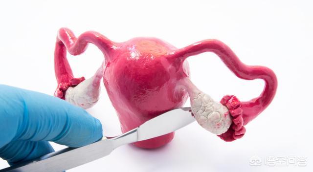子宫肌瘤可以喝红酒吗，有子宫肌瘤的人可以吃羊肉吗