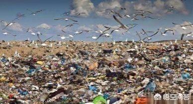 海洋垃圾的危害，有没有办法把海洋垃圾变废为宝