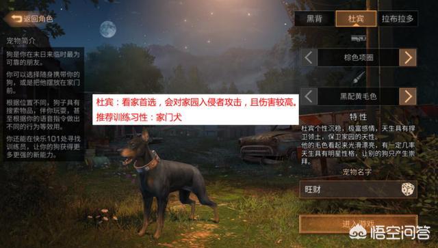 宠物狗十字绣游戏:《明日之后》开局选择什么宠物最好？各宠物都有什么作用呢？ 宠物狗游戏下载