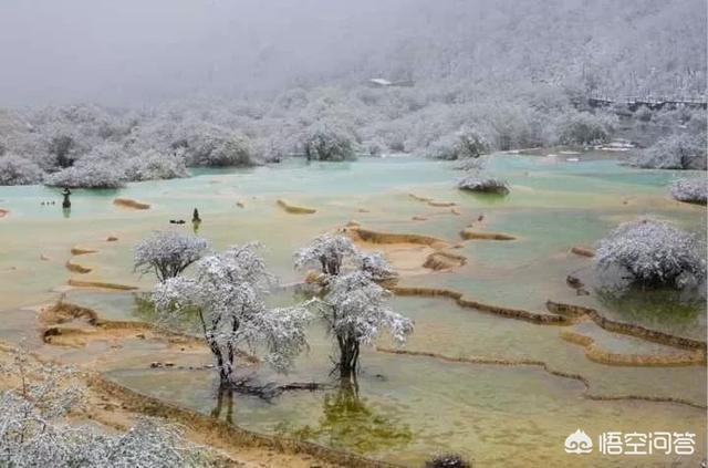 四川发现一条幼龙图片，黄龙风景名胜区有哪些值得游玩的景点