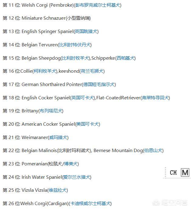 国美狗狗聪明吗:高智商的狗狗有那些优势？