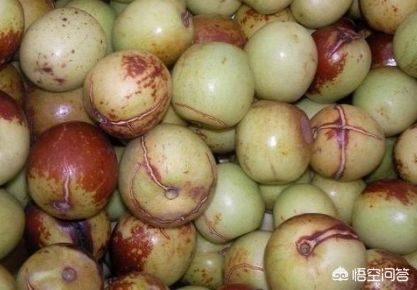 为啥丑果卖不上价格?(20个回答)