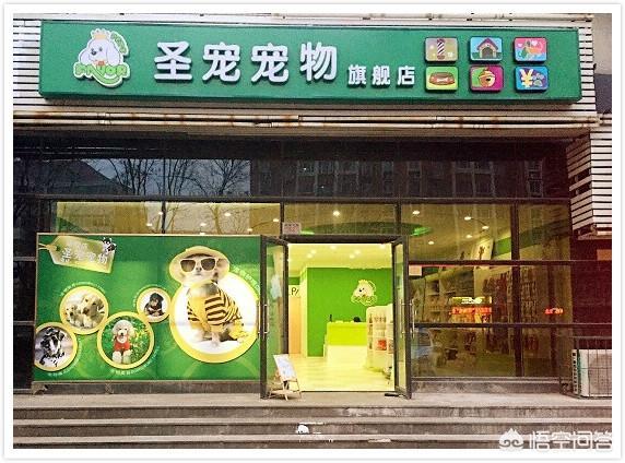 开一家另类宠物店:没有经验适合开宠物店吗？
