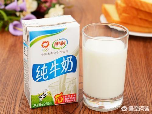 巧克力对于狗来说是致命的吗:为什么狗狗有很多东西都不能吃？ 巧克力对狗为什么是致命的