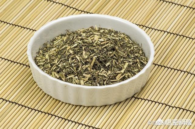 猫猫吃的猫薄荷是什么:猫咪什么时候可以开始吃猫薄荷？