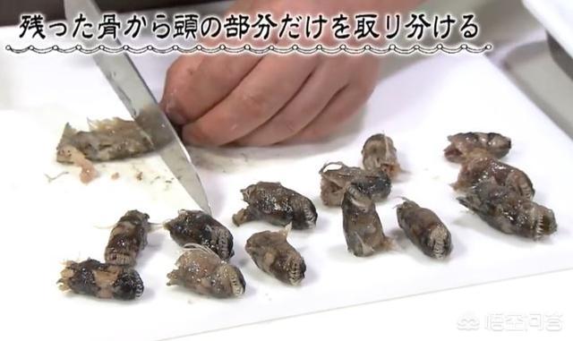 紫须鳗虾虎鱼:紫鳗虾虎鱼 你吃过的最奇葩的食物是什么？