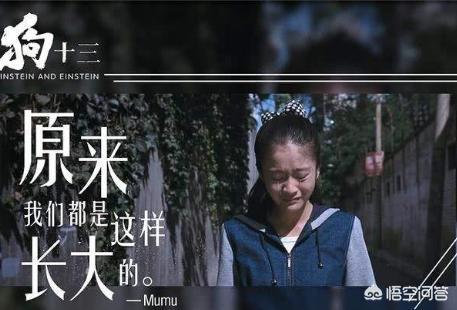 同样是豆瓣8.5分的好片,《狗十三》和《网络迷踪》谁的票房会更胜一筹？