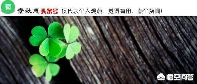女朋友个子矮,无意说了她俩次个子矮,现在要分手,还有机会挽回吗？