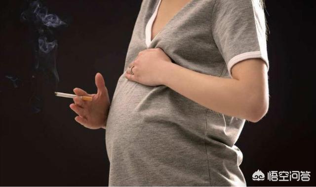 怀孕期间有什么食物不能吃，孕妇吃什么会导致流产，有什么忌口食物？