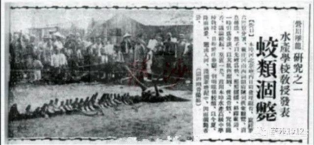 辽宁大蛇事件:大蛇盘踞银行门口，零陵消防“缉拿归案”, 你怎么看？