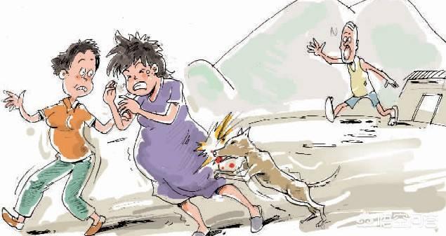 怀孕期间被狗狗咬了怎么办:孕妇在孕期被狗咬伤会有什么影响？ 怀孕期间被宠物狗狗咬了怎么办