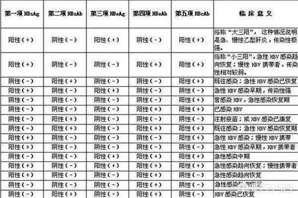 乙肝五项结果分析(乙肝五项结果分析表)