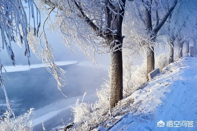 吉林市下雪的时候,同时会出现雾淞吗？今年12月什么时候会有好点的雾淞呢？