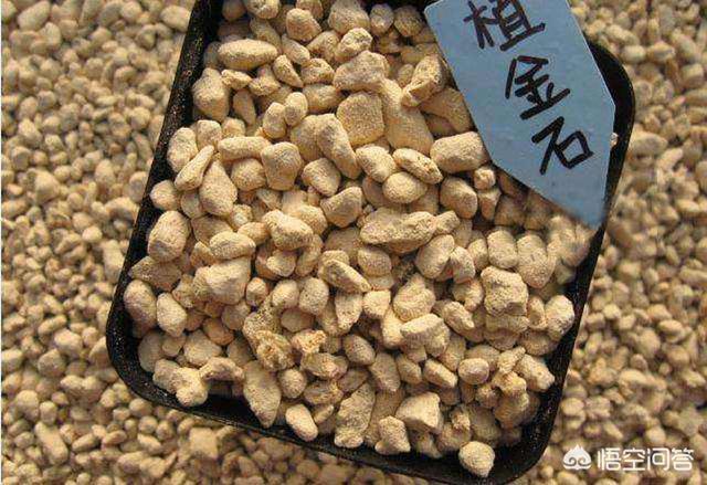 花土里加火山石:轻石与植金石相比，哪个用来养兰花比较好？
