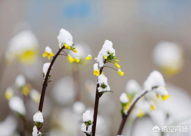 今年立春是几号(今年立春是几号几点)