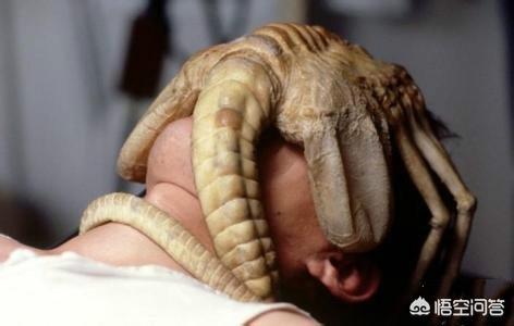 世界上有哪些长得恐怖的生物？