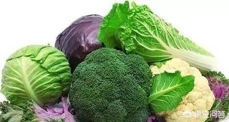 风来客海藻味洁齿骨的特点:白色狗狗成长过程中毛发变黄了是怎么回事？怎么办？