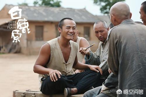 白鹿原停播:电视剧《白鹿原》为什么收视率不高呢？