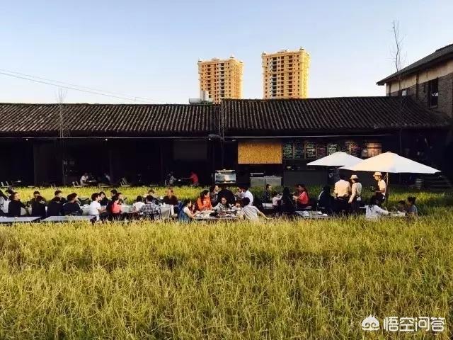 以“稻田”为主题的民宿客栈有哪些推荐