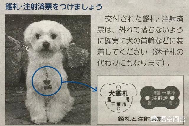 男人与母狗百度网盘:美国、日本、欧洲国家对于违规违法养犬的人是如何处理的？ 做家务的男人2 百度网盘