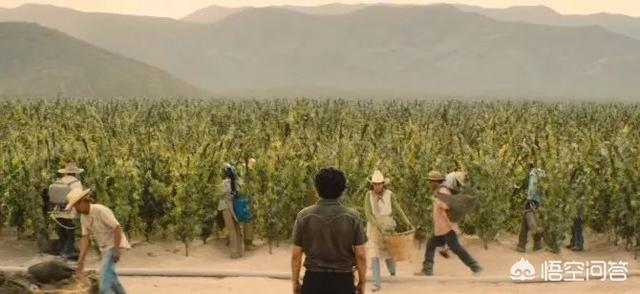 毒枭墨西哥:《毒枭：墨西哥》有哪些让你印象深刻的片段？