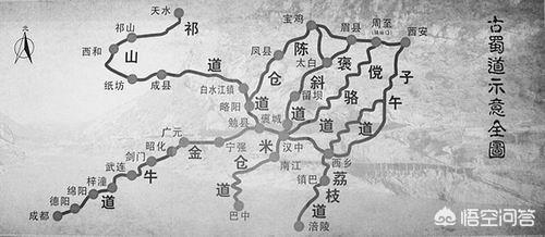 三国魏延:三国魏延被诸葛亮说有反骨，最后被杀，你怎么看魏延？