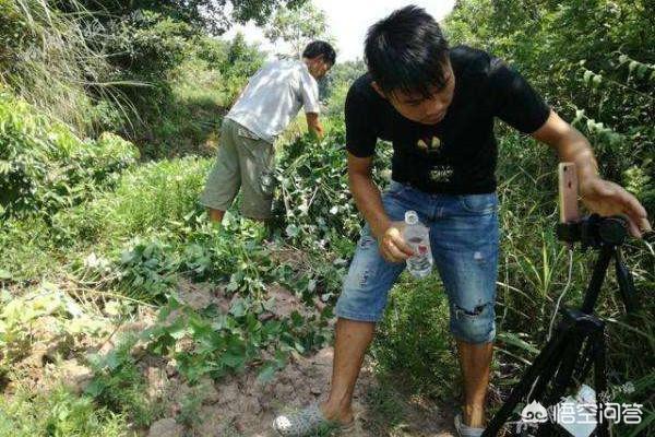 旭日阳刚王旭车祸:在农村当网红有什么感觉？