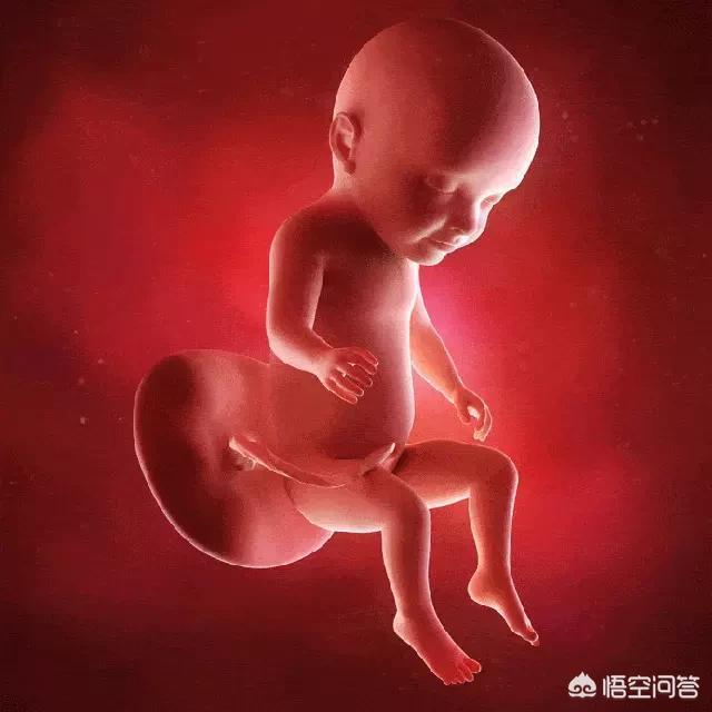 头条问答 - 怀孕31周胎儿各项发育指标应该是怎么样的?(8个回答)