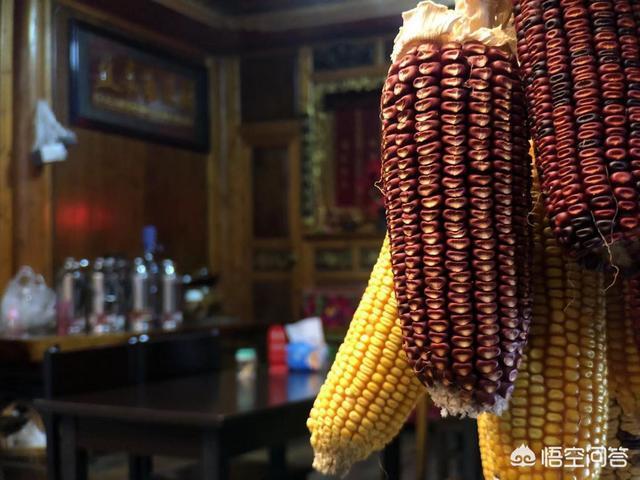 藏獒世家4k版在线观看:拍照手机配上外接镜头，效果能赶得上入门单反吗？