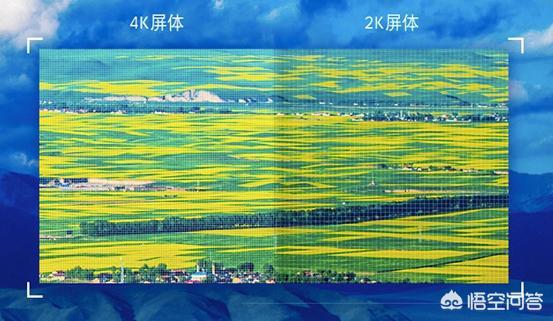 色狗狗网高清完整视频:4k高清电视，国产的哪个牌子的好？