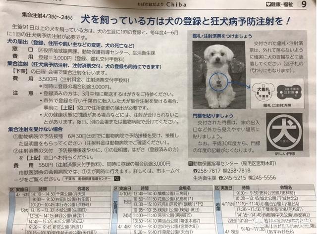 男人与母狗百度网盘:美国、日本、欧洲国家对于违规违法养犬的人是如何处理的？ 做家务的男人2 百度网盘