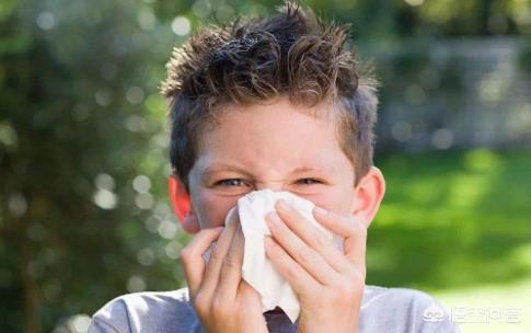 宝宝感冒初期稍微有点流鼻涕，该吃药还是等待自愈？插图1