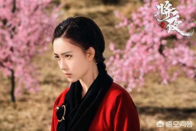 将夜的演员:电视剧《将夜》中孟子义饰演的道痴叶红鱼，你觉得怎么样？