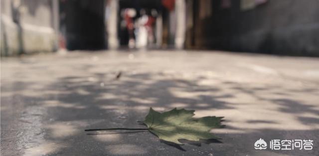 佩佩打架:巅峰时期的佩佩和大卫路易斯谁更厉害一些？有哪些事件可以证明？