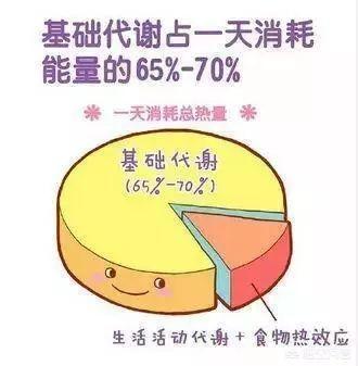 黄油猫悖论:原地跑步1小时可以减肥吗有何依据
